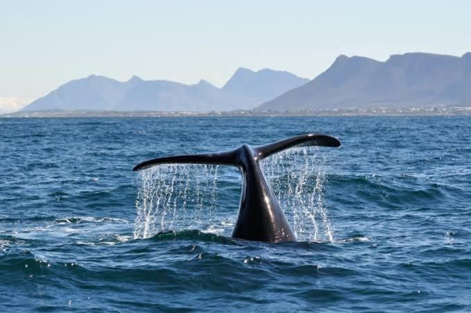 Central Mountain View Apartment, Hermanus Waterfront Екстериор снимка